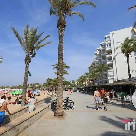 Alexandria *